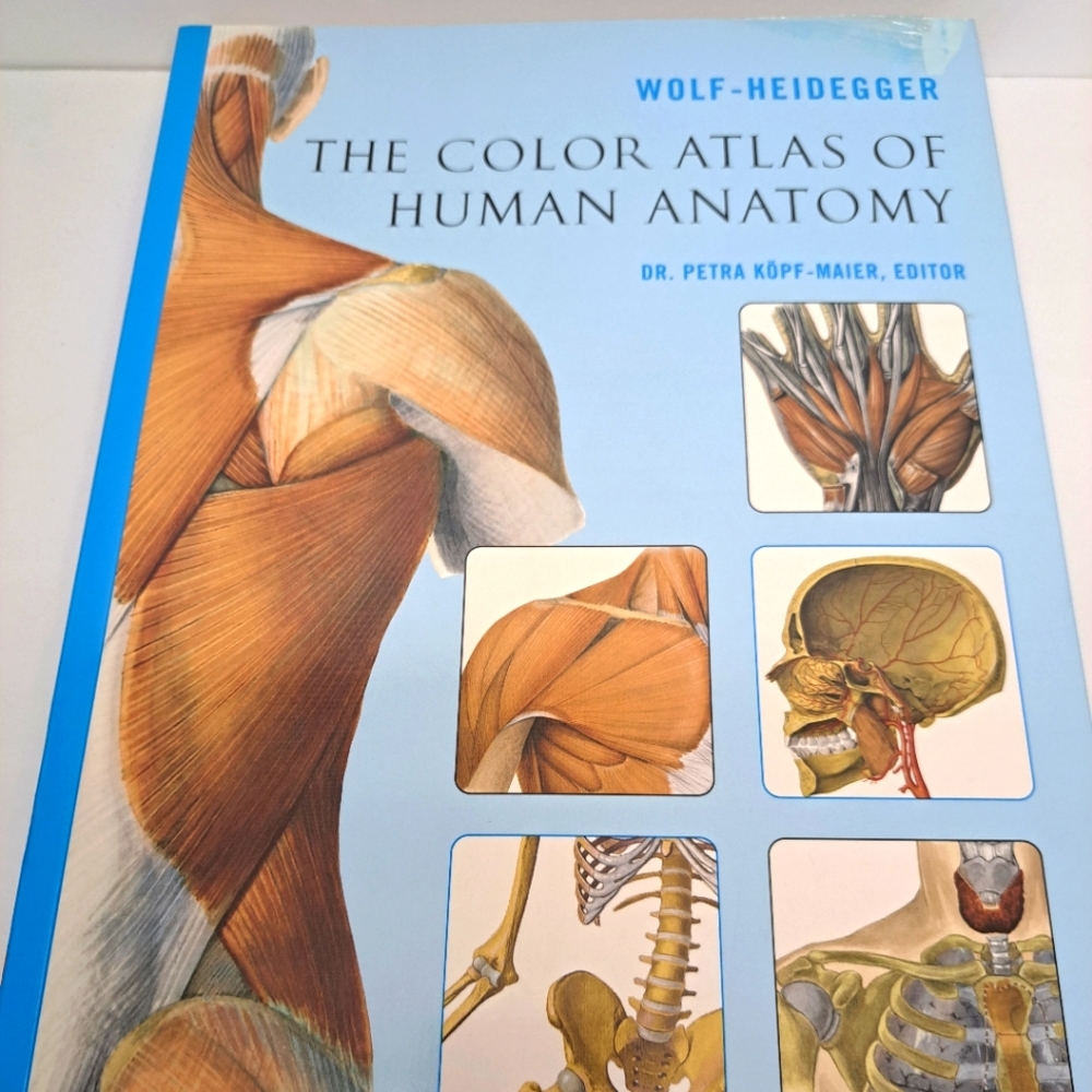 The color Atlas of Human Anatomy.